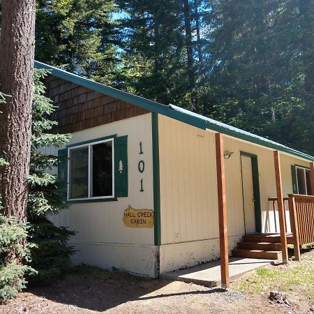 Hall Creek Cabin Packwood Exterior photo