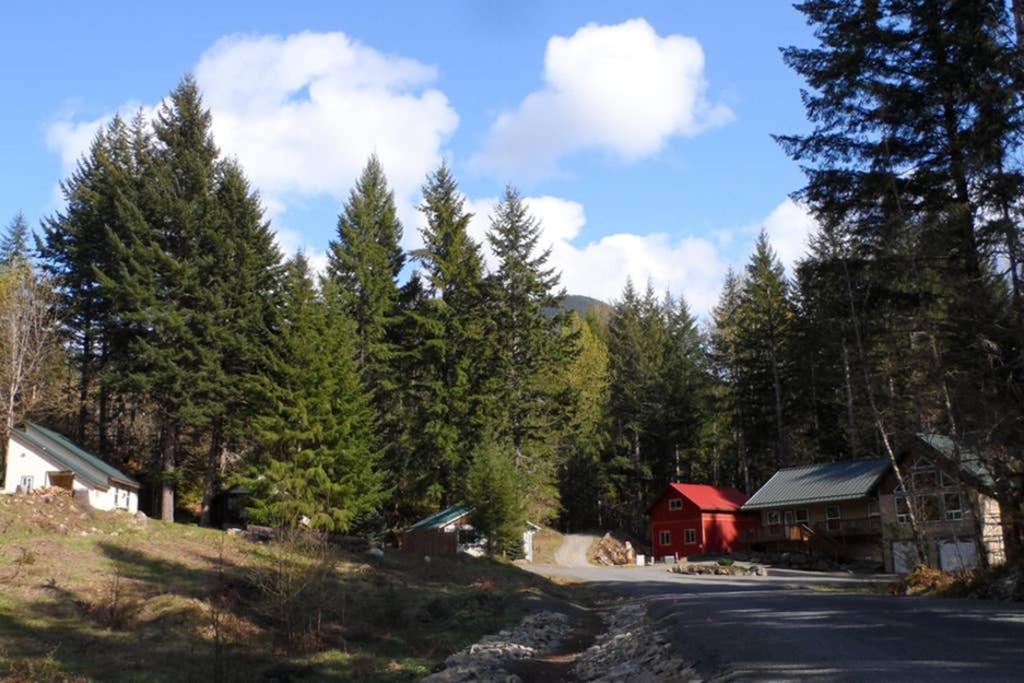 Hall Creek Cabin Packwood Exterior photo