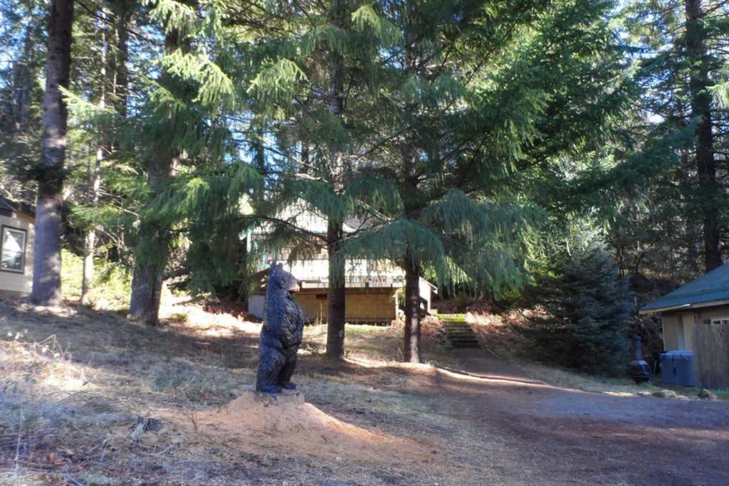 Hall Creek Cabin Packwood Exterior photo