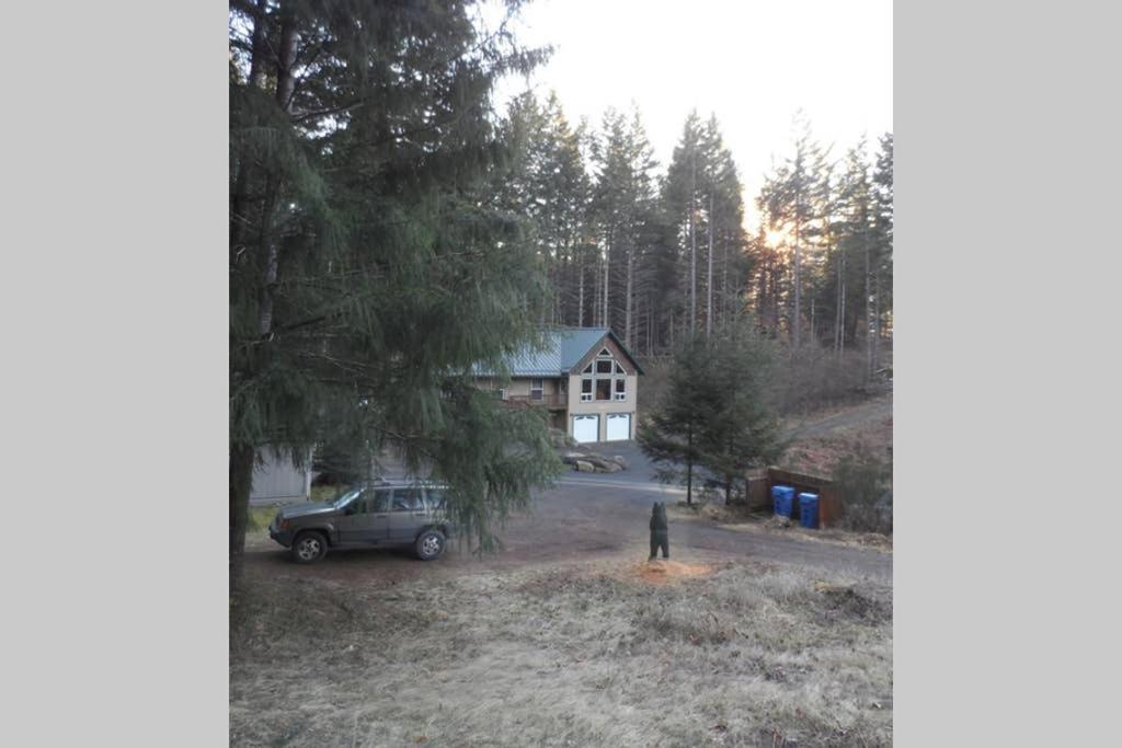 Hall Creek Cabin Packwood Exterior photo