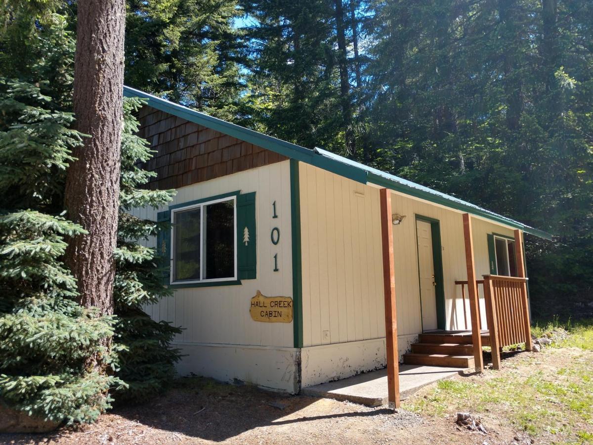 Hall Creek Cabin Packwood Exterior photo