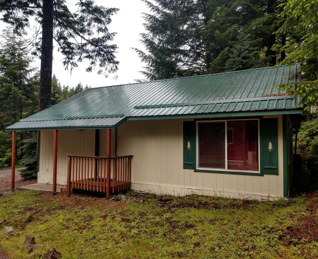 Hall Creek Cabin Packwood Exterior photo